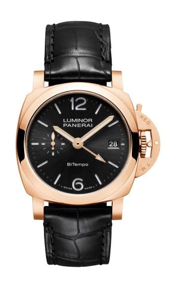 Panerai: 313 watches with prices 